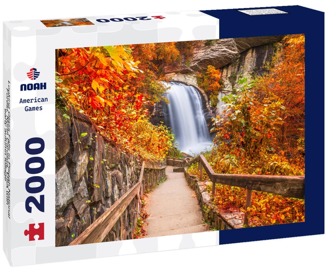 Noah Jigsaw Puzzle Looking Glass Falls in Pisgah National Forest, North Carolina, USA with early autumn foliage 2000 pieces