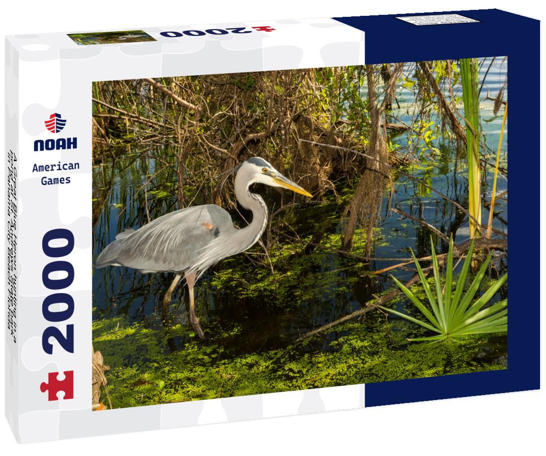 Noah Jigsaw Puzzle A Great Blue Heron hunting in a pond at St. Andrews State park in Panama City Beach Florida 2000 pieces