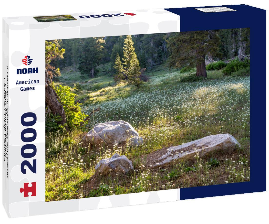 Noah Jigsaw Puzzle A Meadow of Wildflowers and Grasses in Early Morning Sunlight, Calaveras County, California 2000 pieces