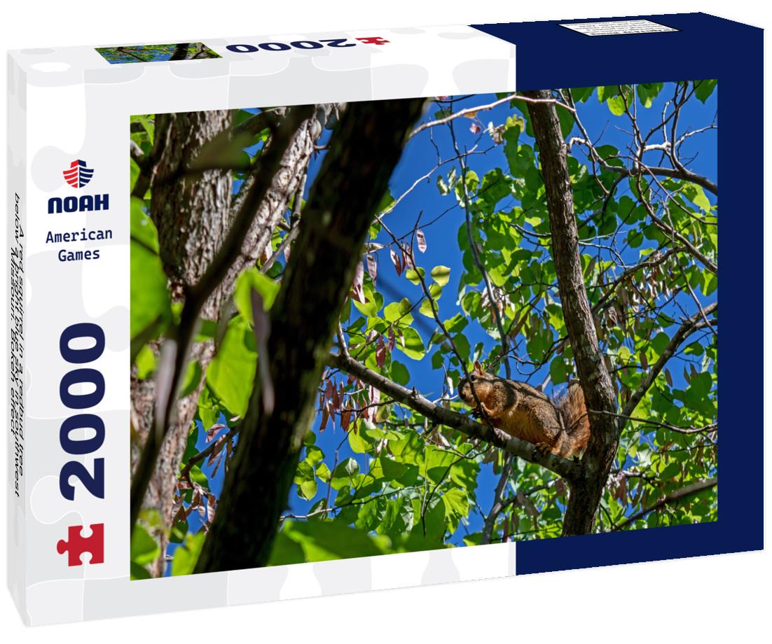 Noah Jigsaw Puzzle A red squirrel in a redbud tree below a bright blue sky in southwest Missouri. Bokeh effect 2000 pieces