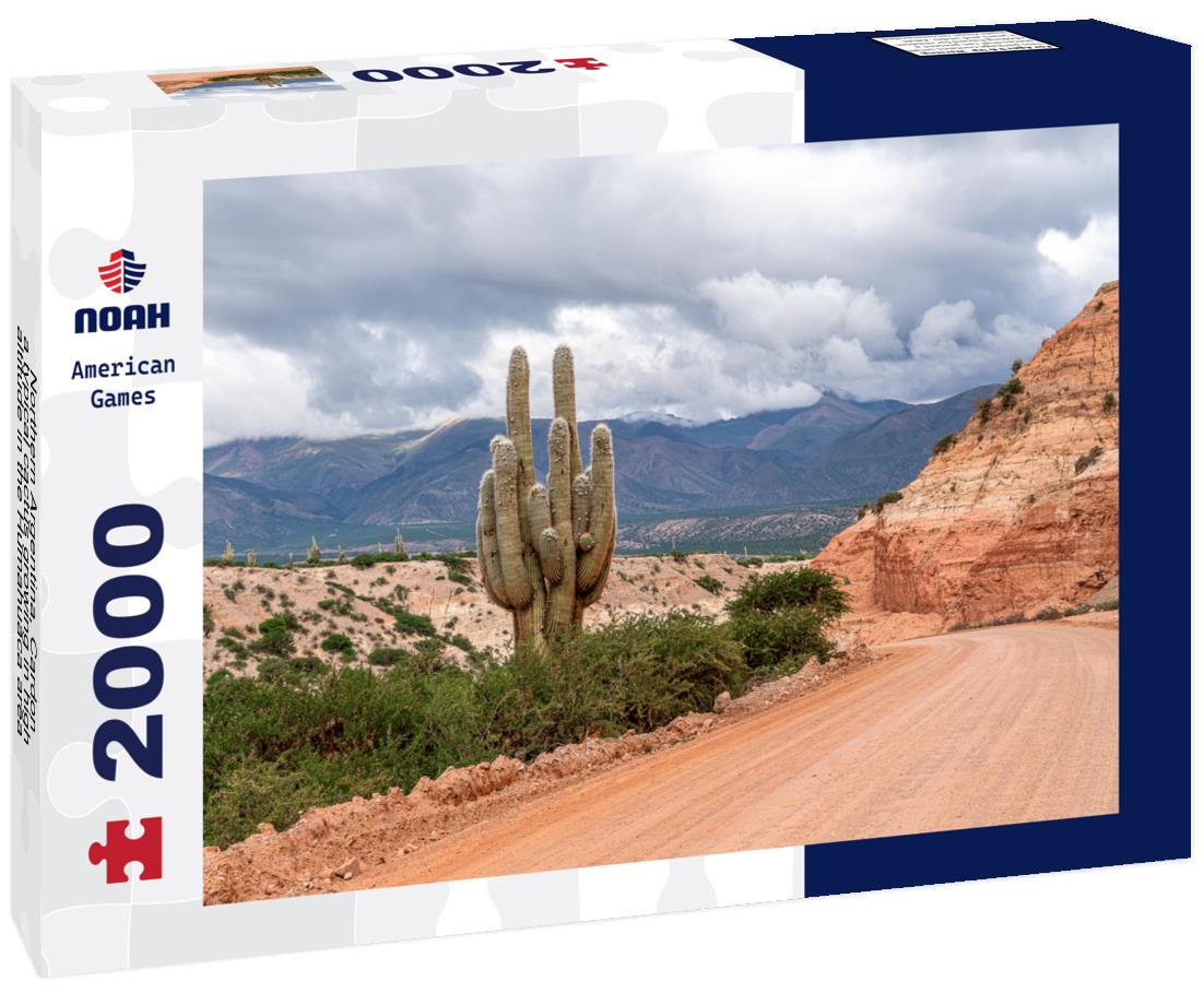 Noah Jigsaw Puzzle Northern Argentina, Cardon, a typical cactus growing in high altitude in the Humahuaca area 2000 pieces