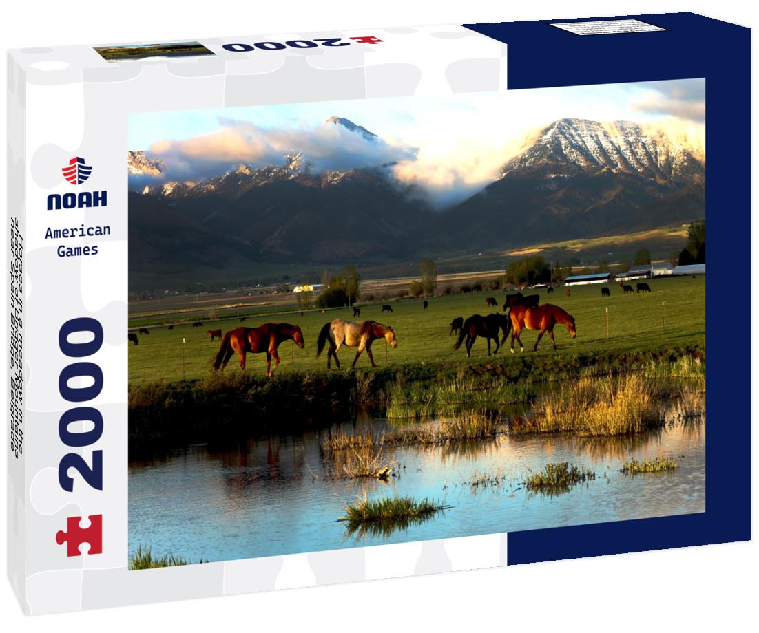 Noah Jigsaw Puzzle Horses in a meadow in the shadow of Bridger Mountains near Spain Bridge, Belgrade, Montana 2000 pieces