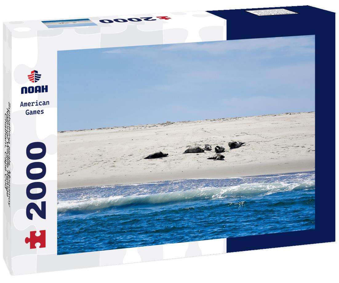 Noah Jigsaw Puzzle Sunbathing seals, Monomoy National Wildlife Refuge, Chatham, Cape Cod, Massachusetts, USA 2000 pieces