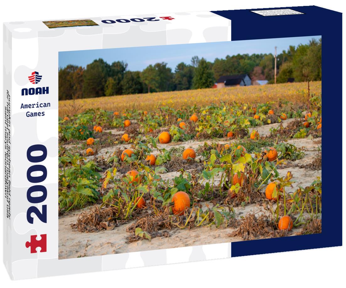 Noah Jigsaw Puzzle pumpkin and soybean field ready for harvest southern maryland usa saint marys leonardtown 2000 pieces