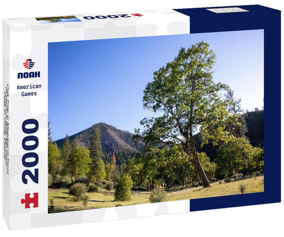 Noah Jigsaw Puzzle Oak Tree in Meadow in Front of Hayfork Bally Mountain Peak in Trinity County, California 2000 pieces