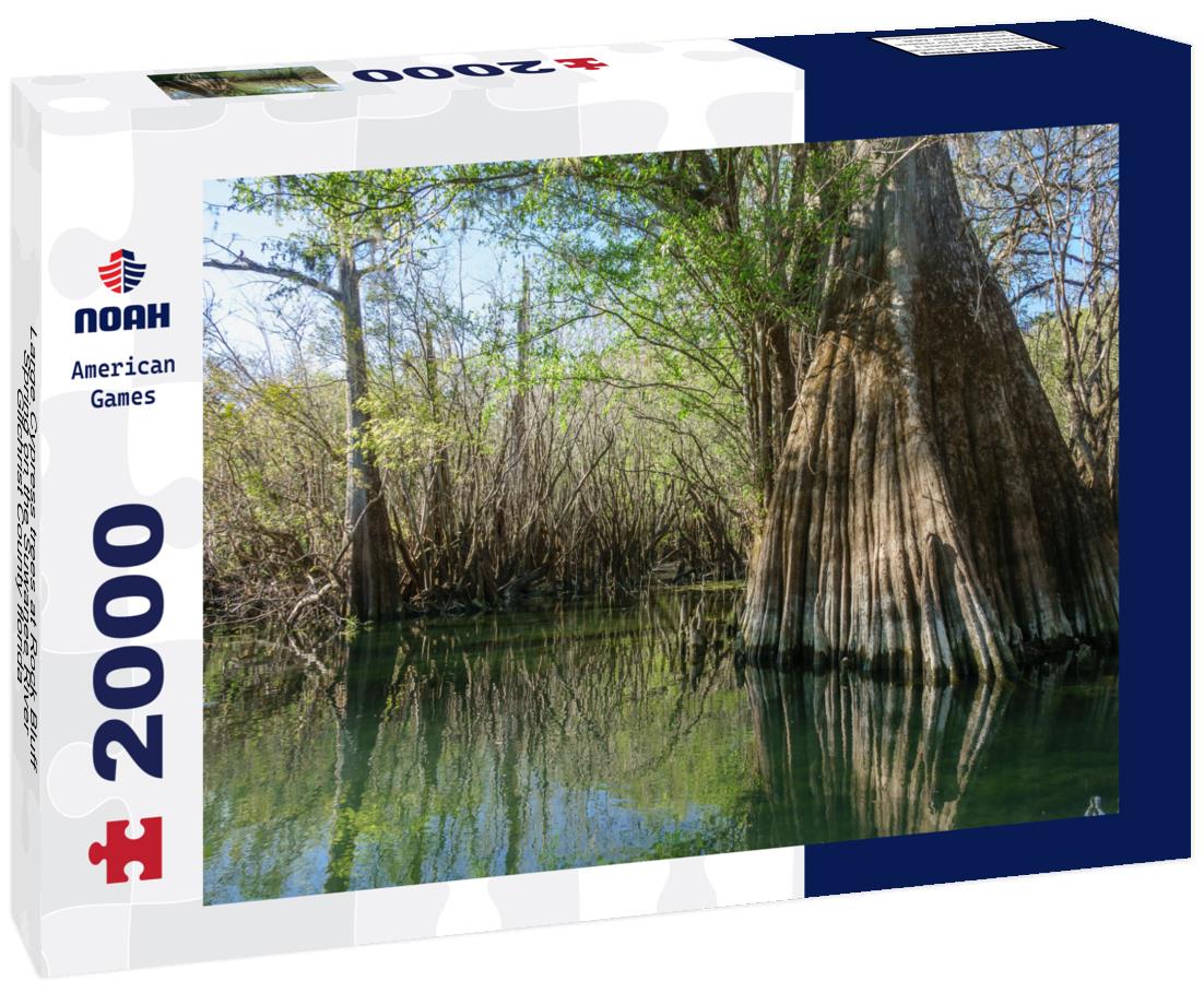 Noah Jigsaw Puzzle Large Cypress trees at Rock Bluff Spring on the Suwanee River, Gilchrist County florida 2000 pieces