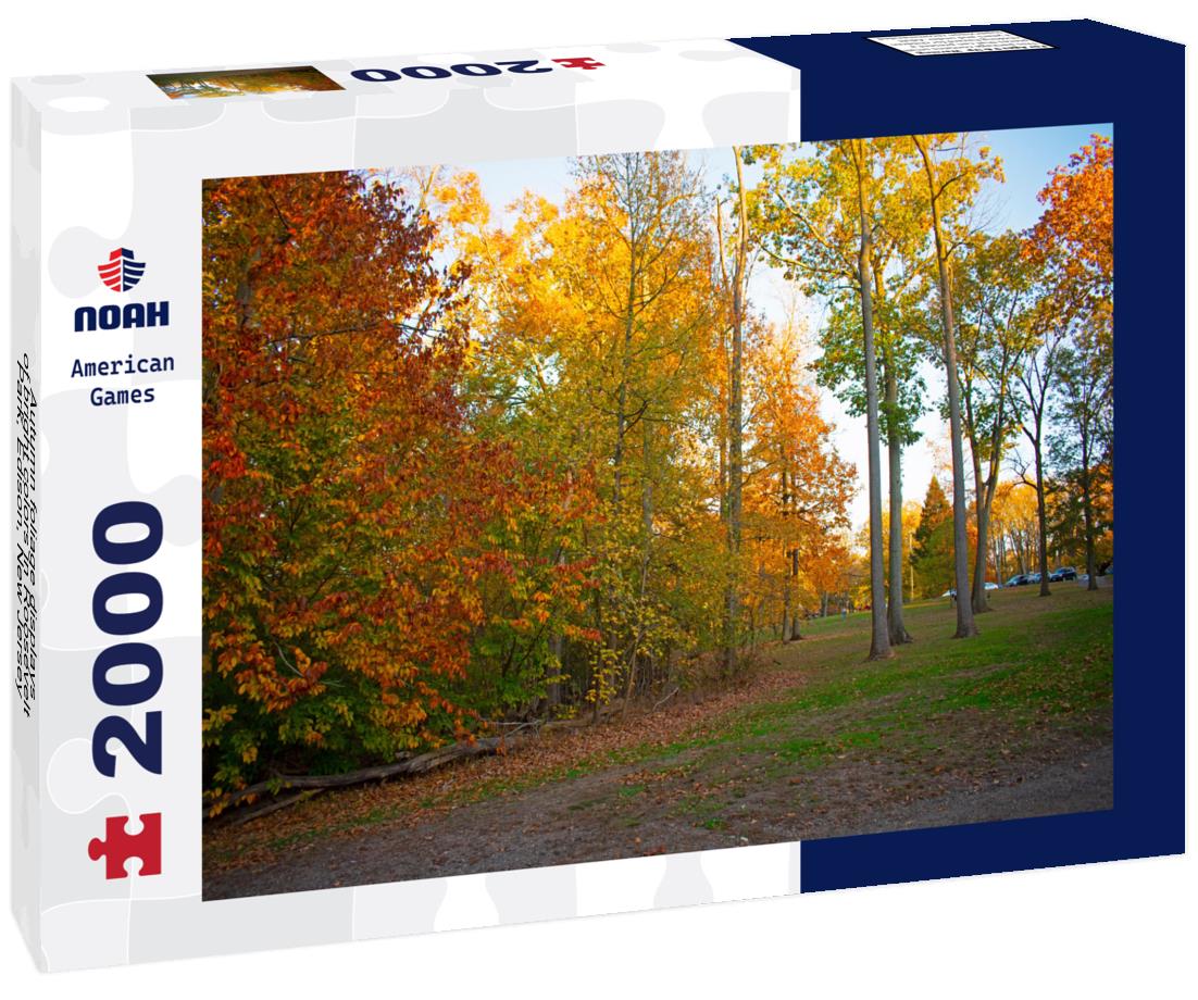 Noah Jigsaw Puzzle Autumn foliage displays of bright colors in Roosevelt Park, Edison, New Jersey, USA -01 2000 pieces