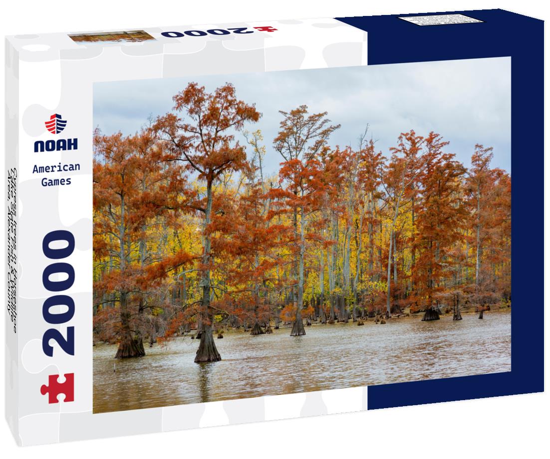 Noah Jigsaw Puzzle Cypress trees in Horseshoe Lake State Fish & Wildlife Area, Alexander County, Illinois 2000 pieces