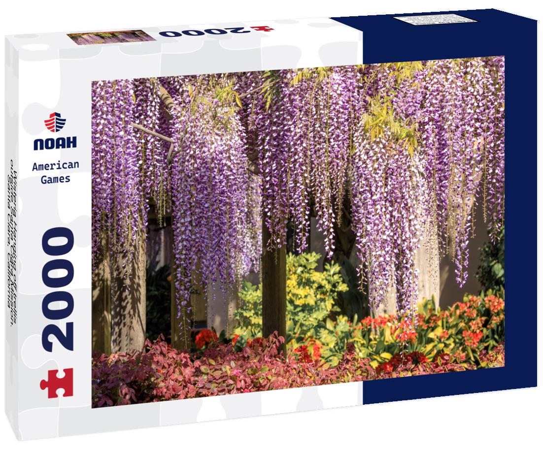 Noah Jigsaw Puzzle Wisteria Hanging off trellis outside Santa Clara Mission. Santa Clara, California, USA 2000 pieces