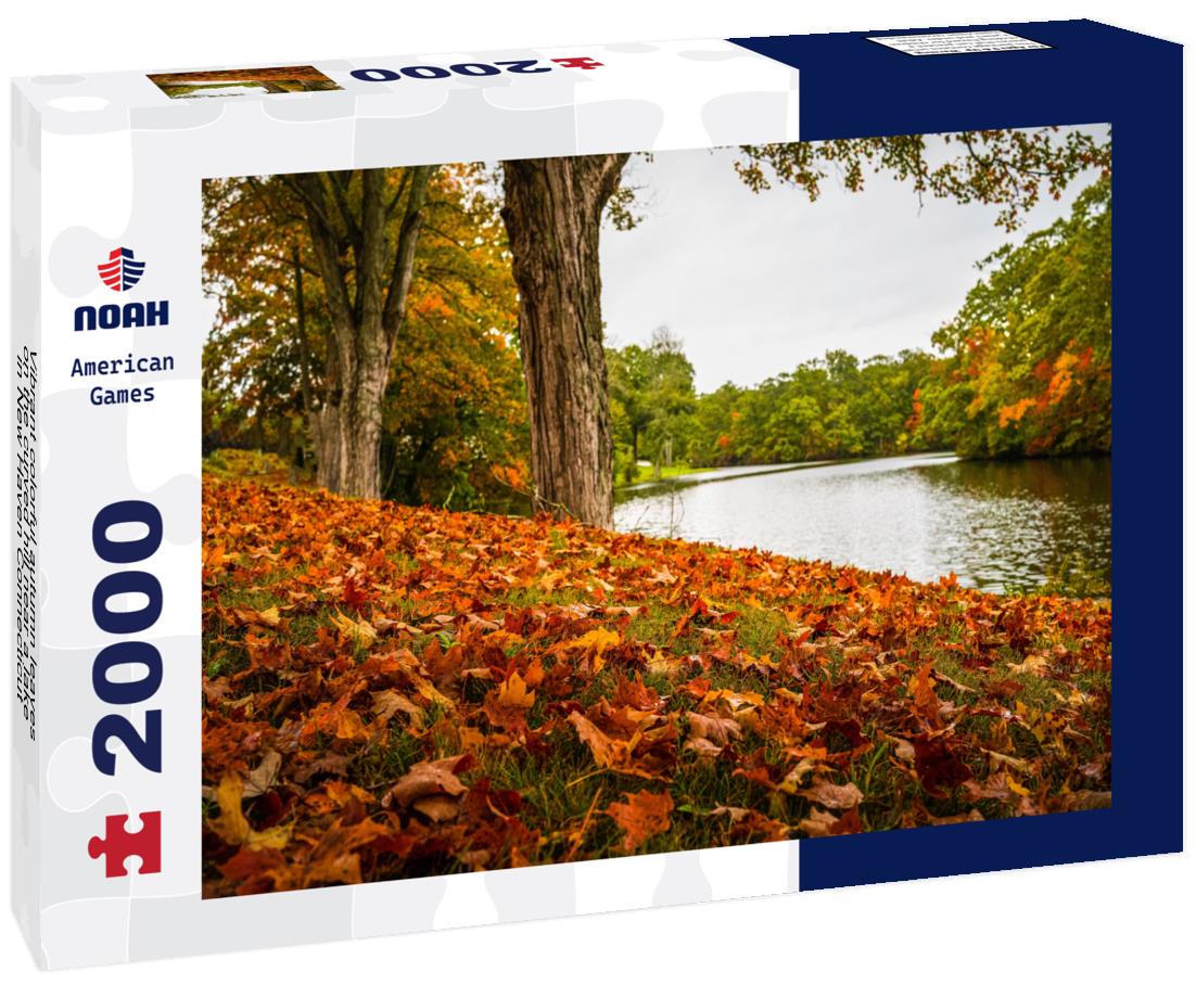 Noah Jigsaw Puzzle Vibrant colorful autumn leaves on the curved hill near a lake in New Haven Connecticut 2000 pieces