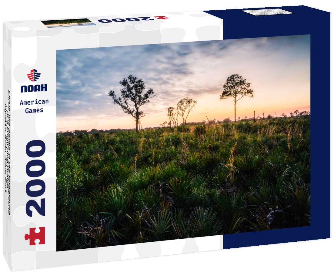 Noah Jigsaw Puzzle Shrub-like palms in the foreground of a sunlit pine prairie. Myakka River State Park 2000 pieces