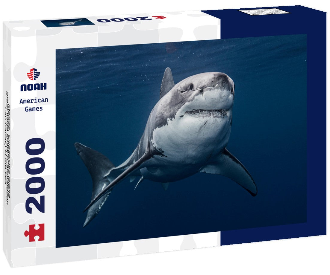 Noah Jigsaw Puzzle Mexico, Guadalupe Island, great white shark (Carcharodon carcharias) in the sea 2000 Pieces