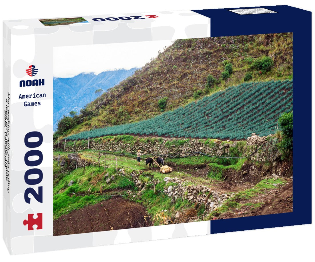 Noah Jigsaw Puzzle Man walking with yaks pulling a load on a farm, Trujillo state, Venezuela 2000 Pieces