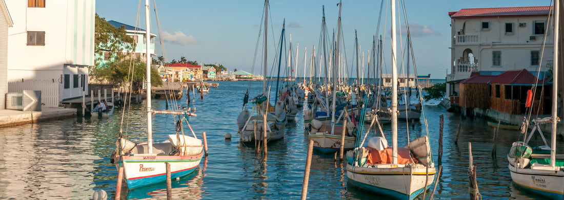 Noah Jigsaw Puzzle In Belize City Panorama 1000 Pieces