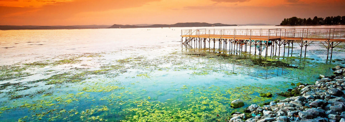 Noah Jigsaw Puzzle Lake Balaton in summer Panorama 1000 Pieces