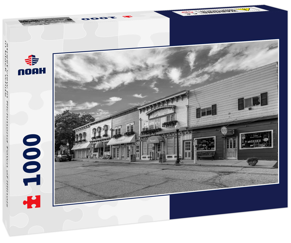 Street view in Richmond Town of Illinois in black white