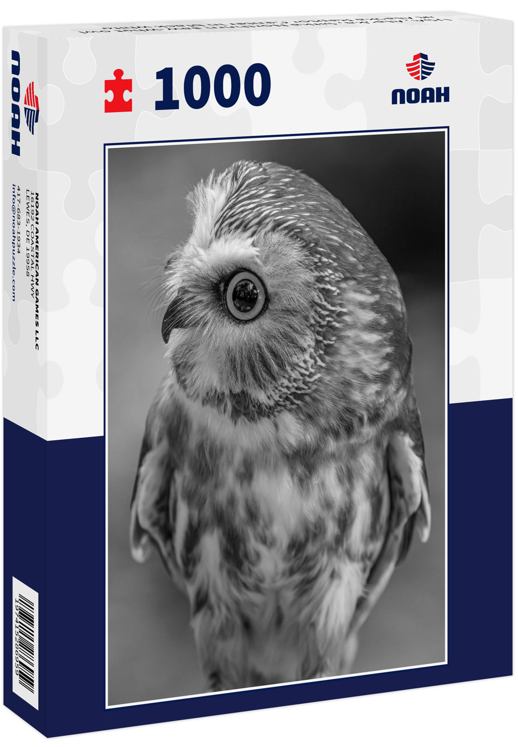 USA, Alaska, Sitka Northern saw-whet owl at Alaska Raptor Center in black white