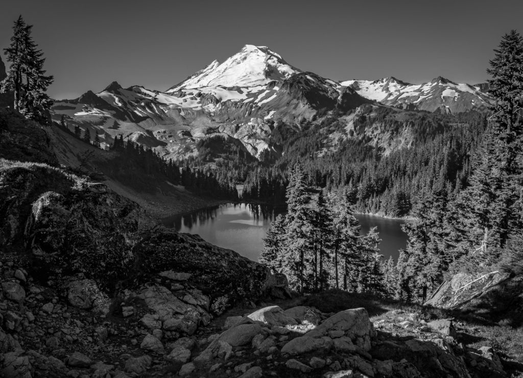 Mt. Baker Wilderness (Washington) in black white