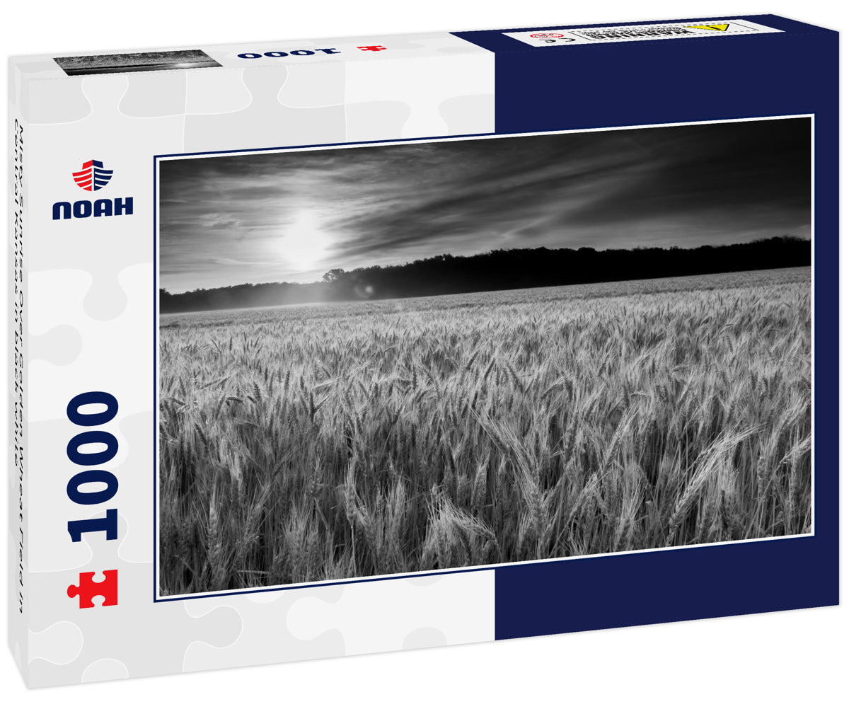 Misty Sunrise Over Golden Wheat Field in Central Kansas in black white