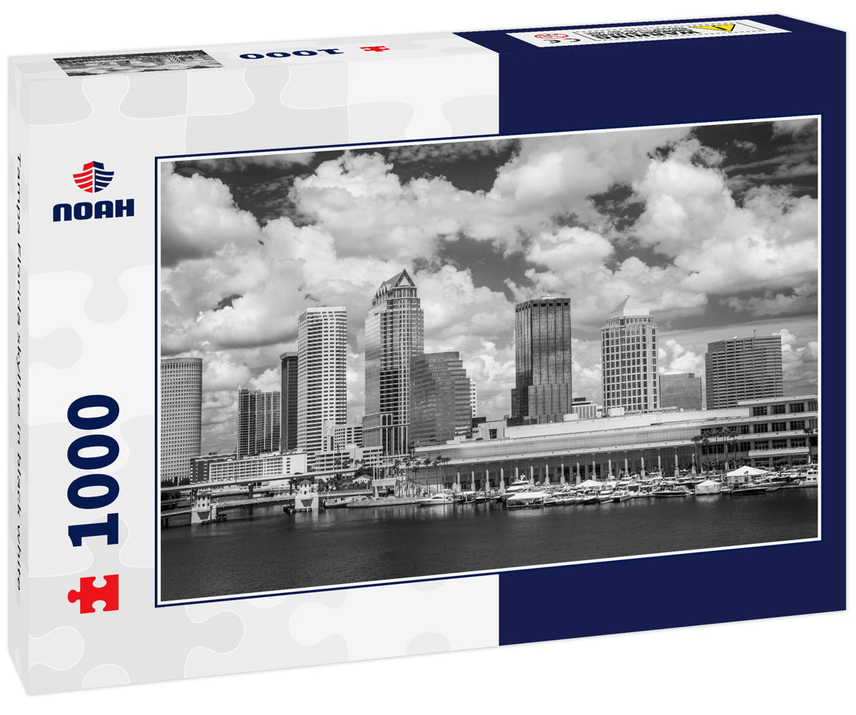 Tampa Florida skyline in black white