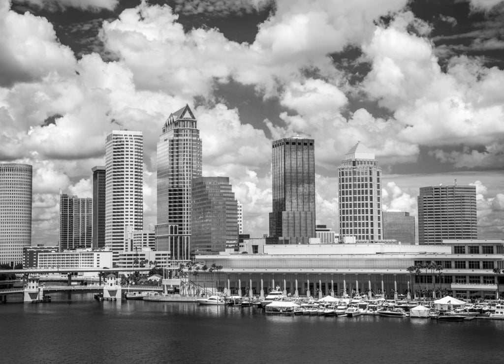 Tampa Florida skyline in black white