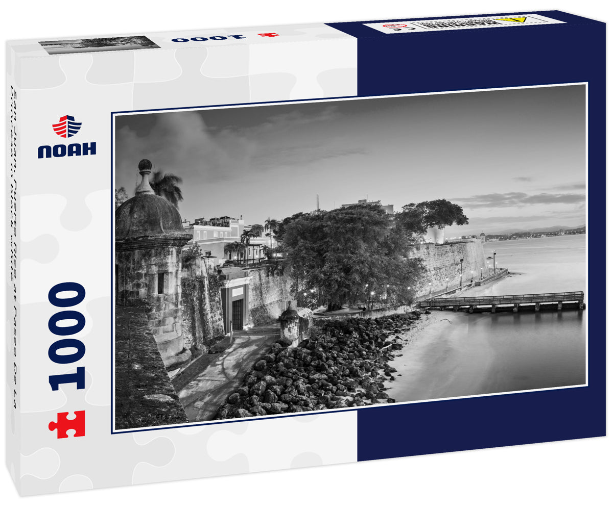 San Juan, Puerto Rico at Paseo De La Princesa in black white