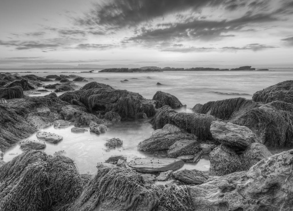Sunrise at Sachuest Wildlife Refuge Rhode Island in black white