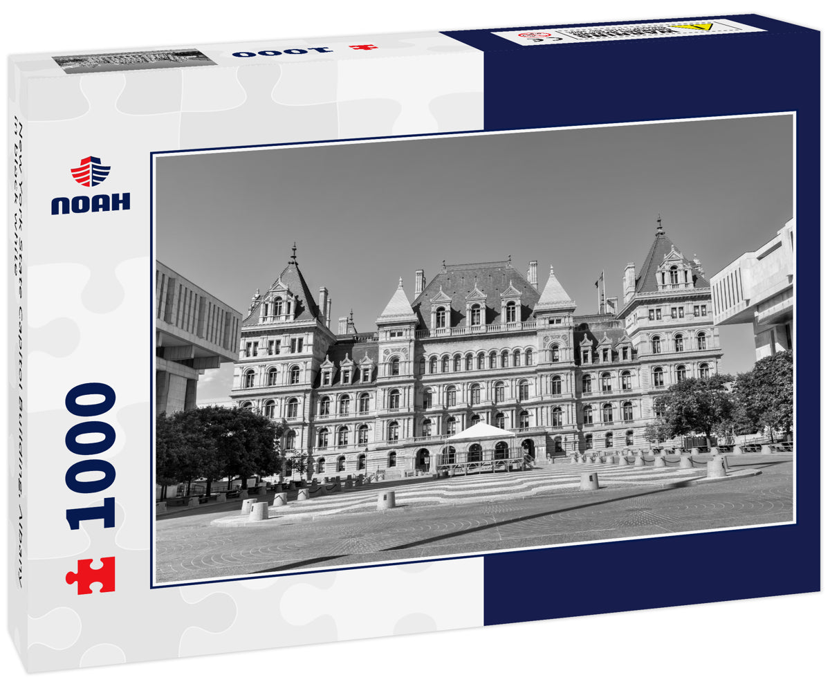 New York State Capitol Building, Albany in black white