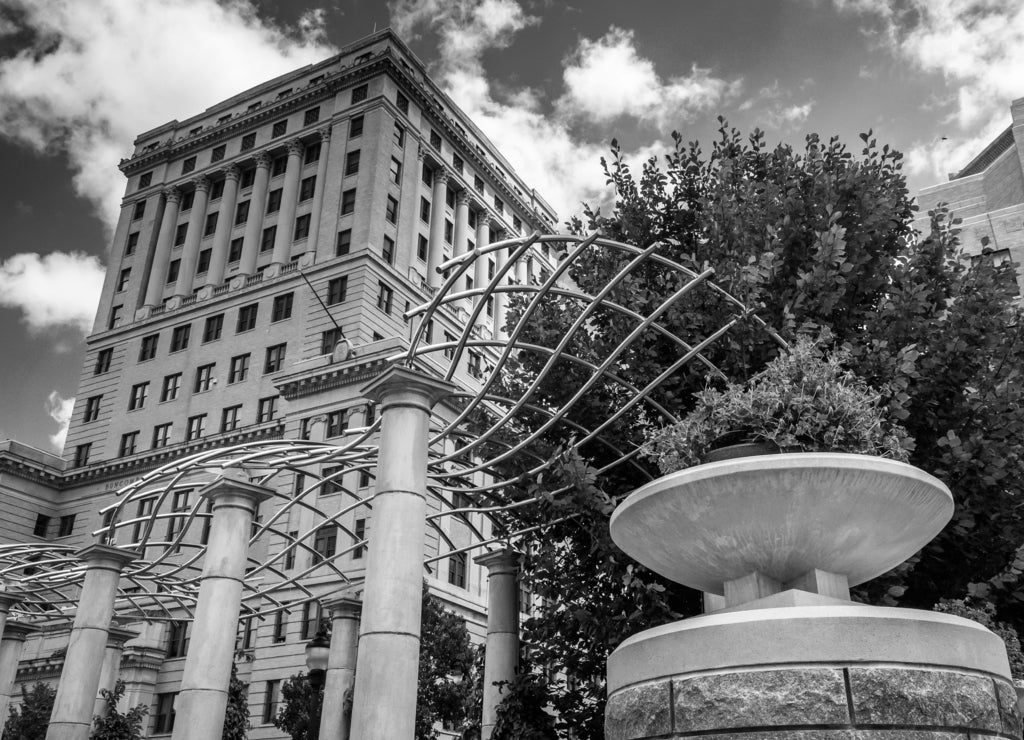 Flowers and BuNorth Carolinaombe County Courthouse, in Asheville, North Carolina in black white