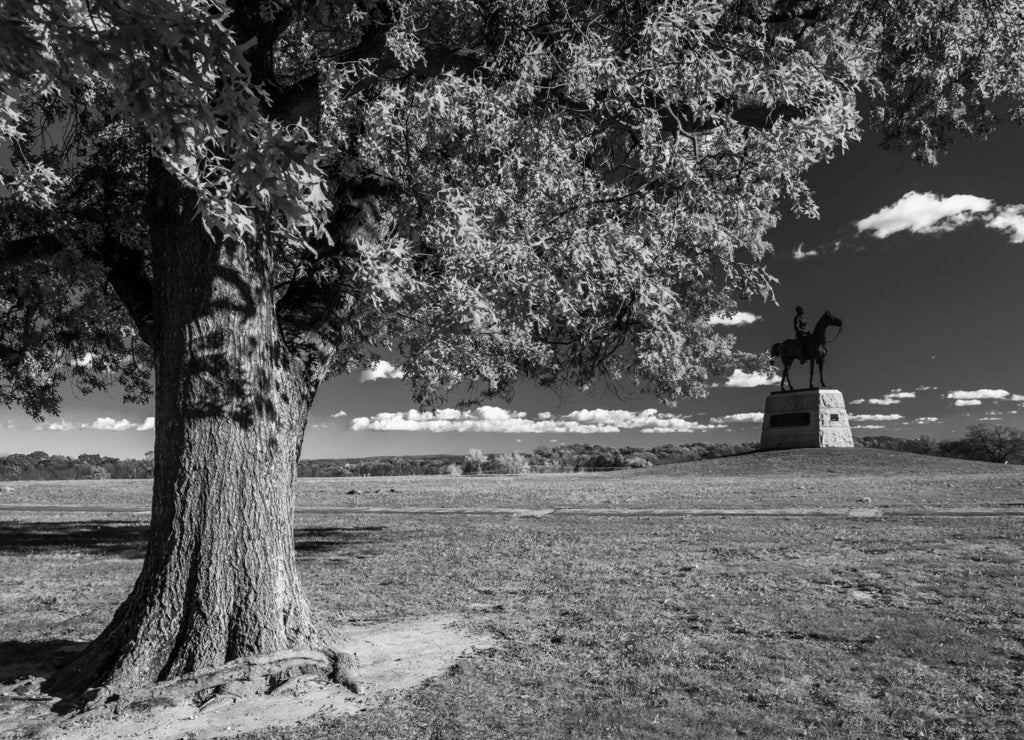 Tree and statue on a battlefield at Gettysburg, Pennsylvania in black white