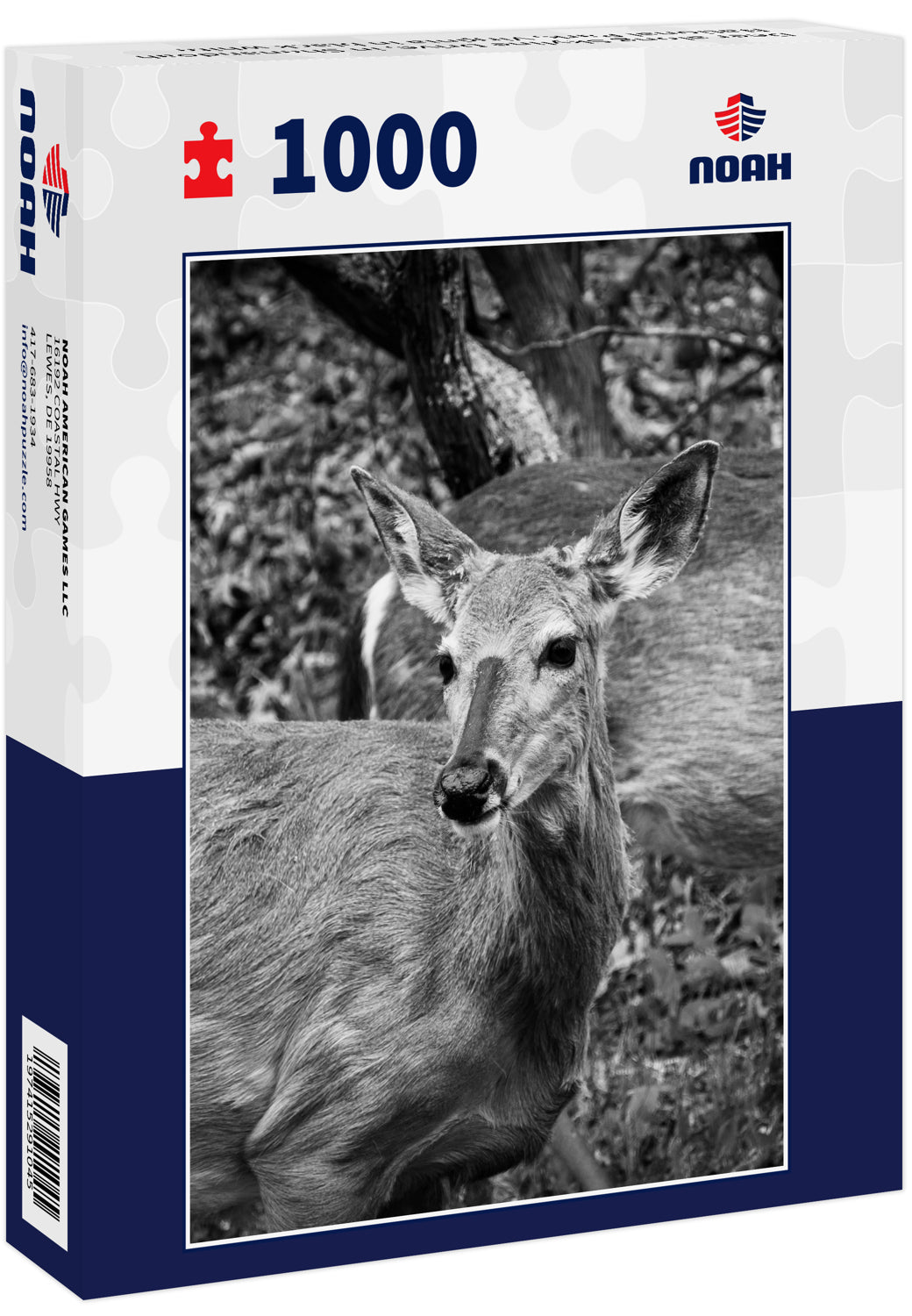 Deer along Skyline Drive, in Shenandoah National Park, Virginia in black white