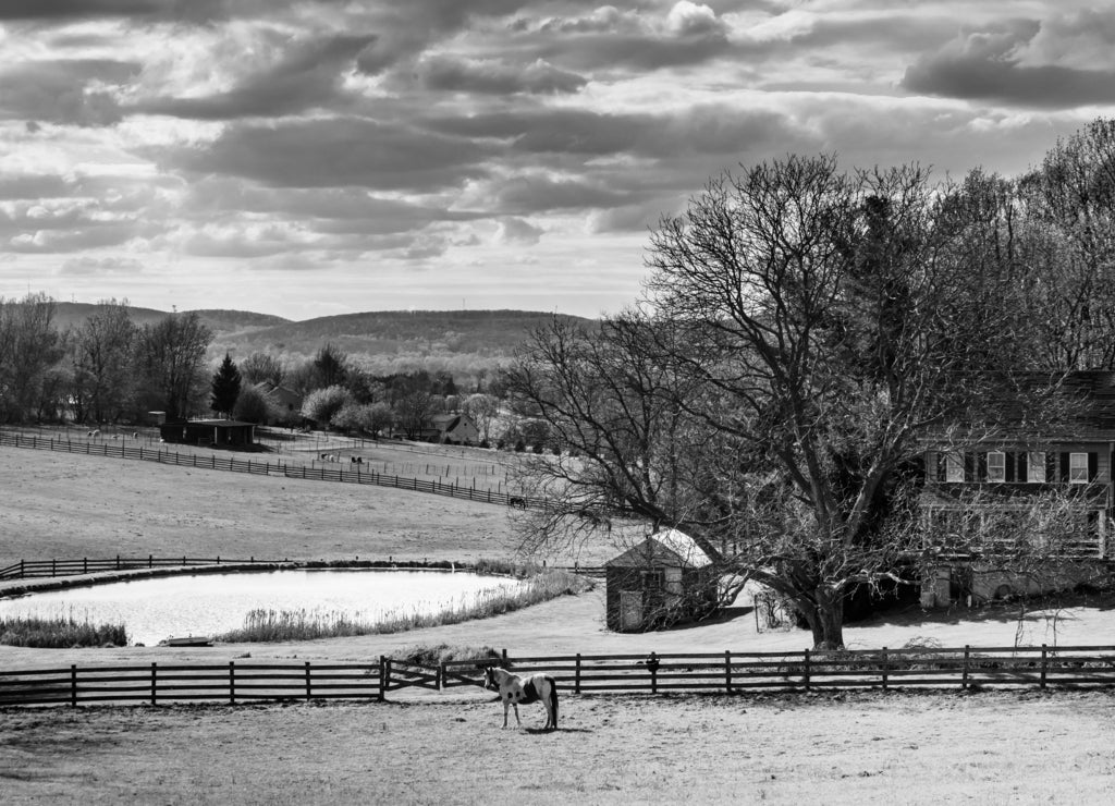 Pond and house on a farm in rural York County, Pennsylvania in black white