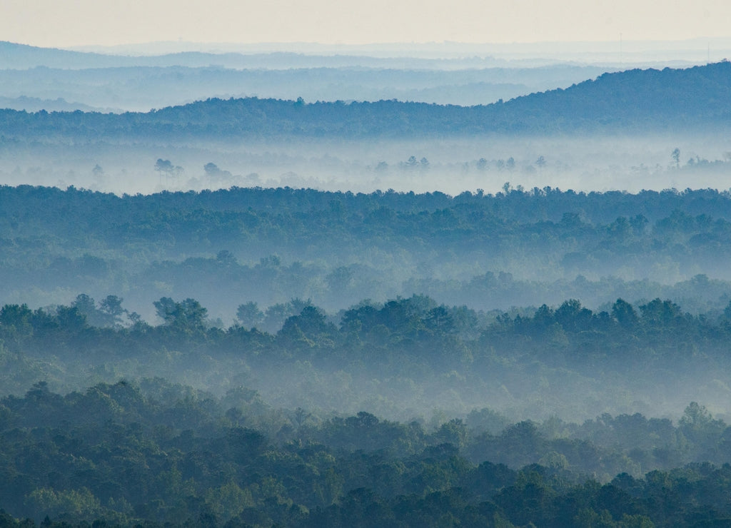 Fog flows through the valleys and hills below a scenic overlook in the Talladega National Forest in Alabama, USA