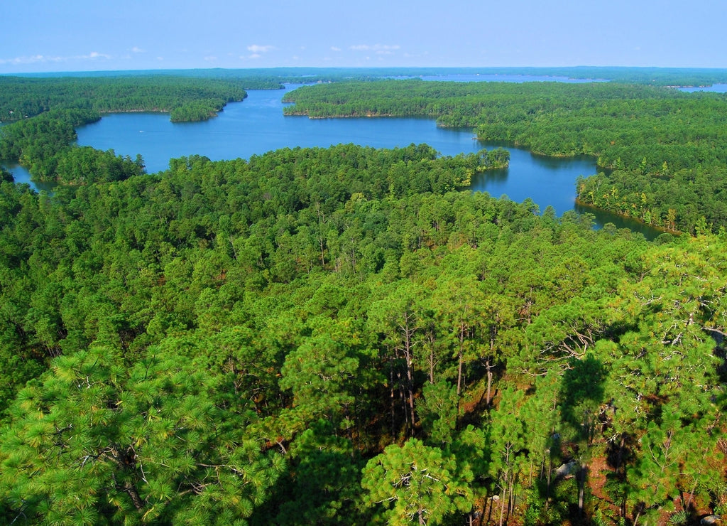 Cherokee Ridge / Views from Smith Mountain near Dadeville, Alabama