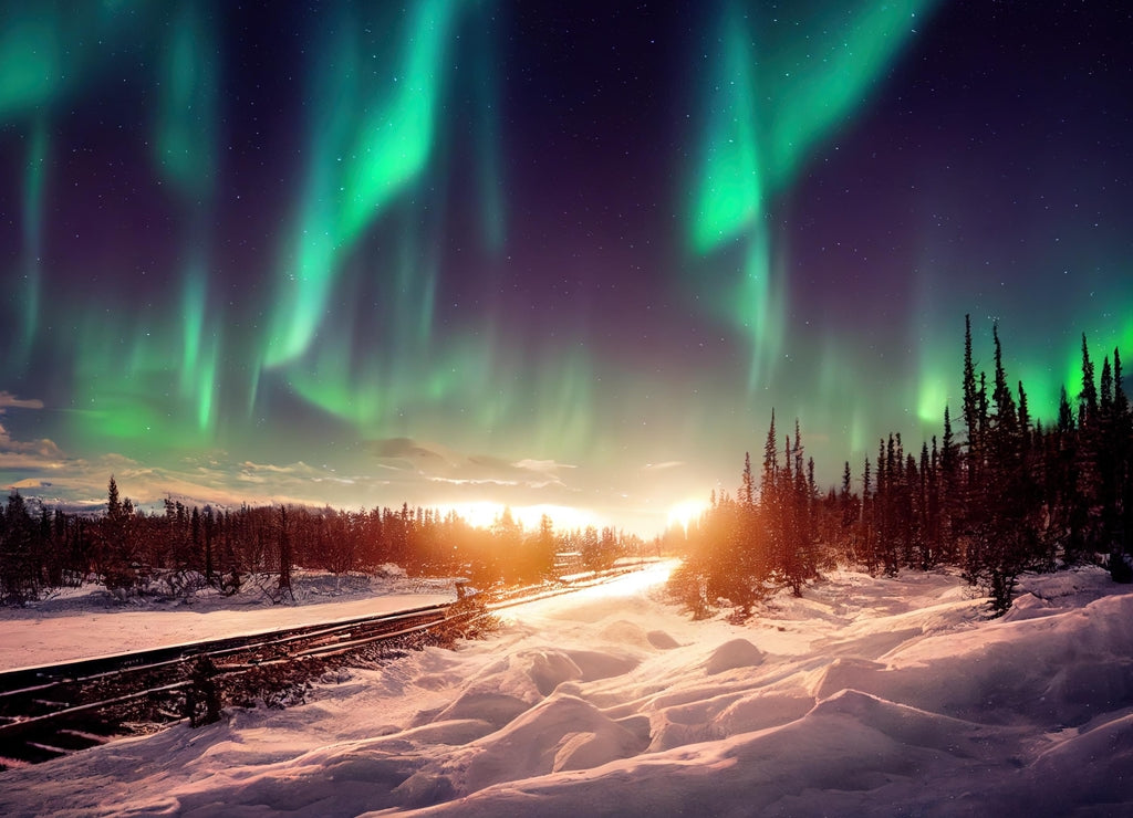 Denali State Park, Alaska, USA September 2021 the Aurora Winter train at Denali State Park station.