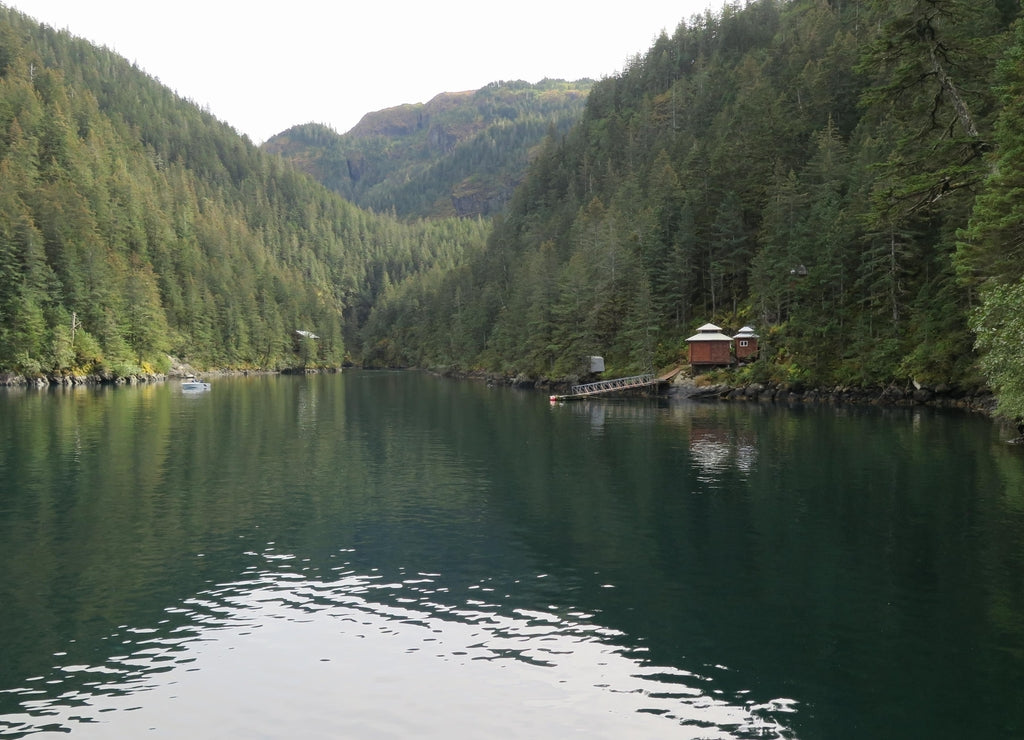 The view of a bay with a wooden house on a boat cruise somewhere in the Kenai Fjords, Kenai Peninsula Borough, close to Seward, Alaska, USA