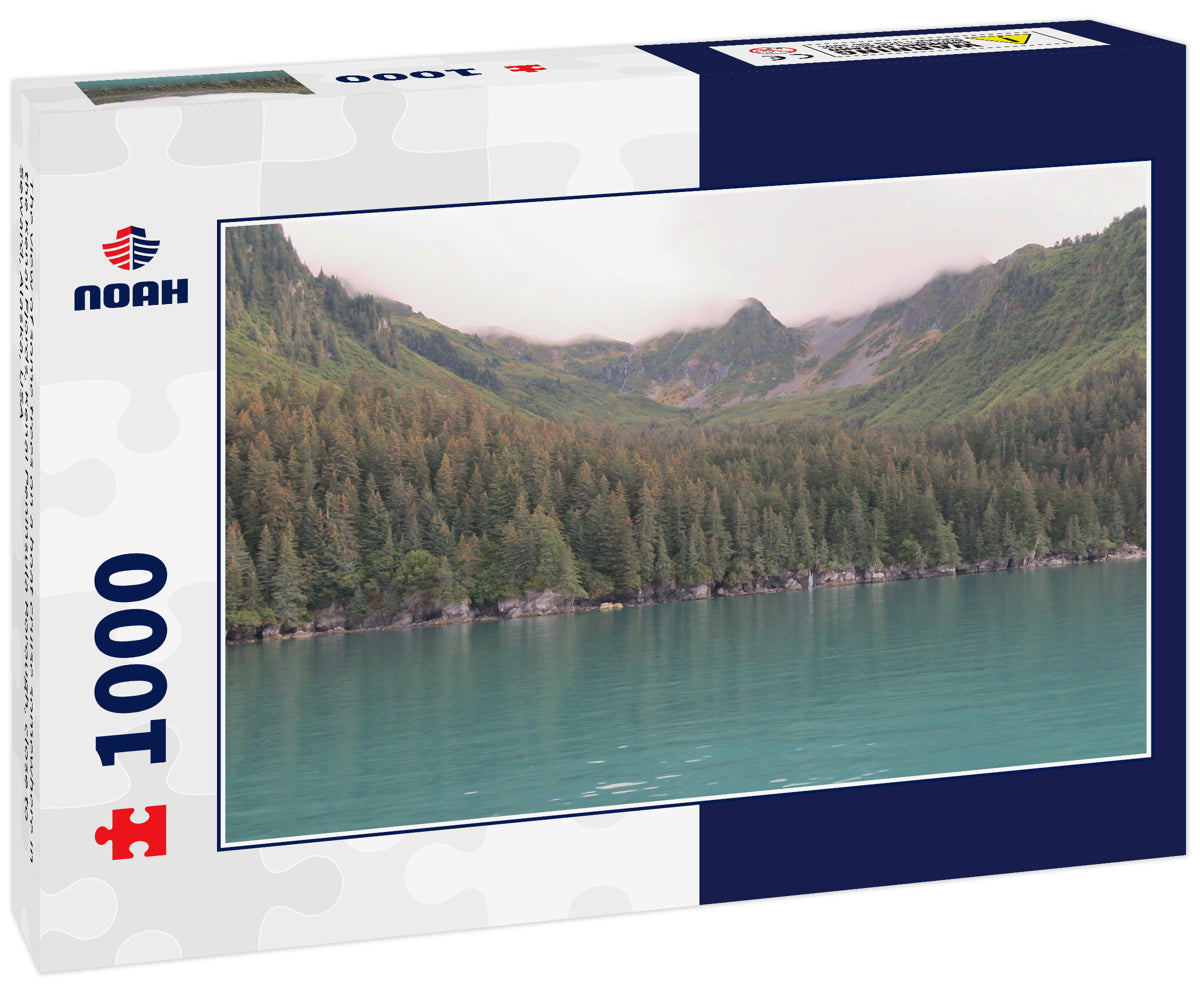 The view of some trees on a boat cruise somewhere in the Kenai Fjords, Kenai Peninsula Borough, close to Seward, Alaska, USA