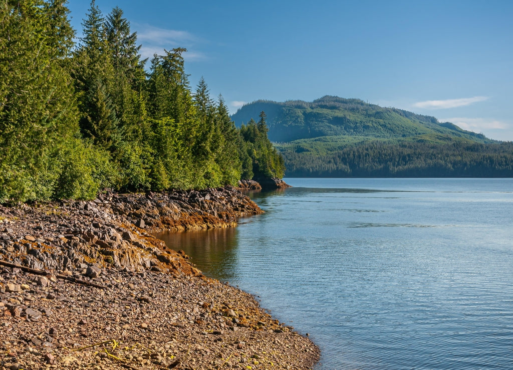Ketchikan, Alaska, USA: Landscape, dense green forests above brown rocky shoreline along Tongass Narrows under blue sky. Mountains on horizon and blue ocean water up front