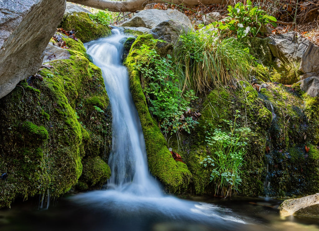 A rare waterfall oasis in the Huachuca mountains near Sierra Vista in southern Arizona