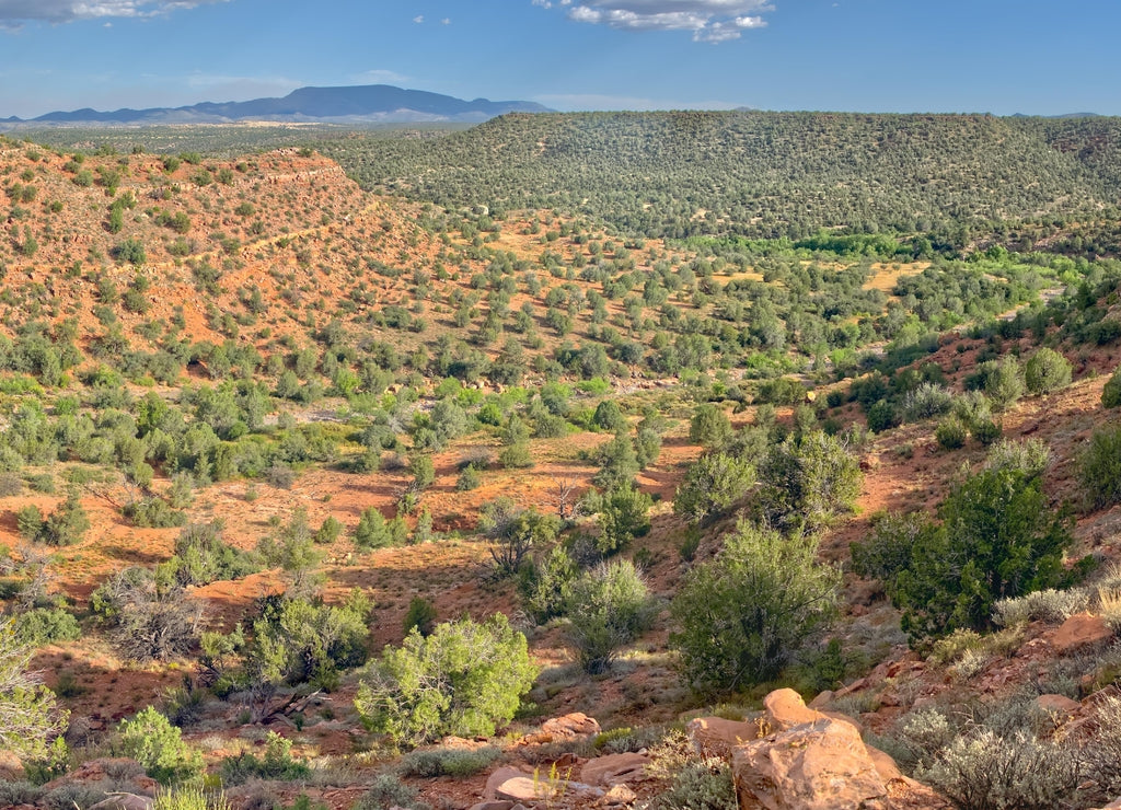 Grindstone Canyon in the Prescott National Forest Arizona