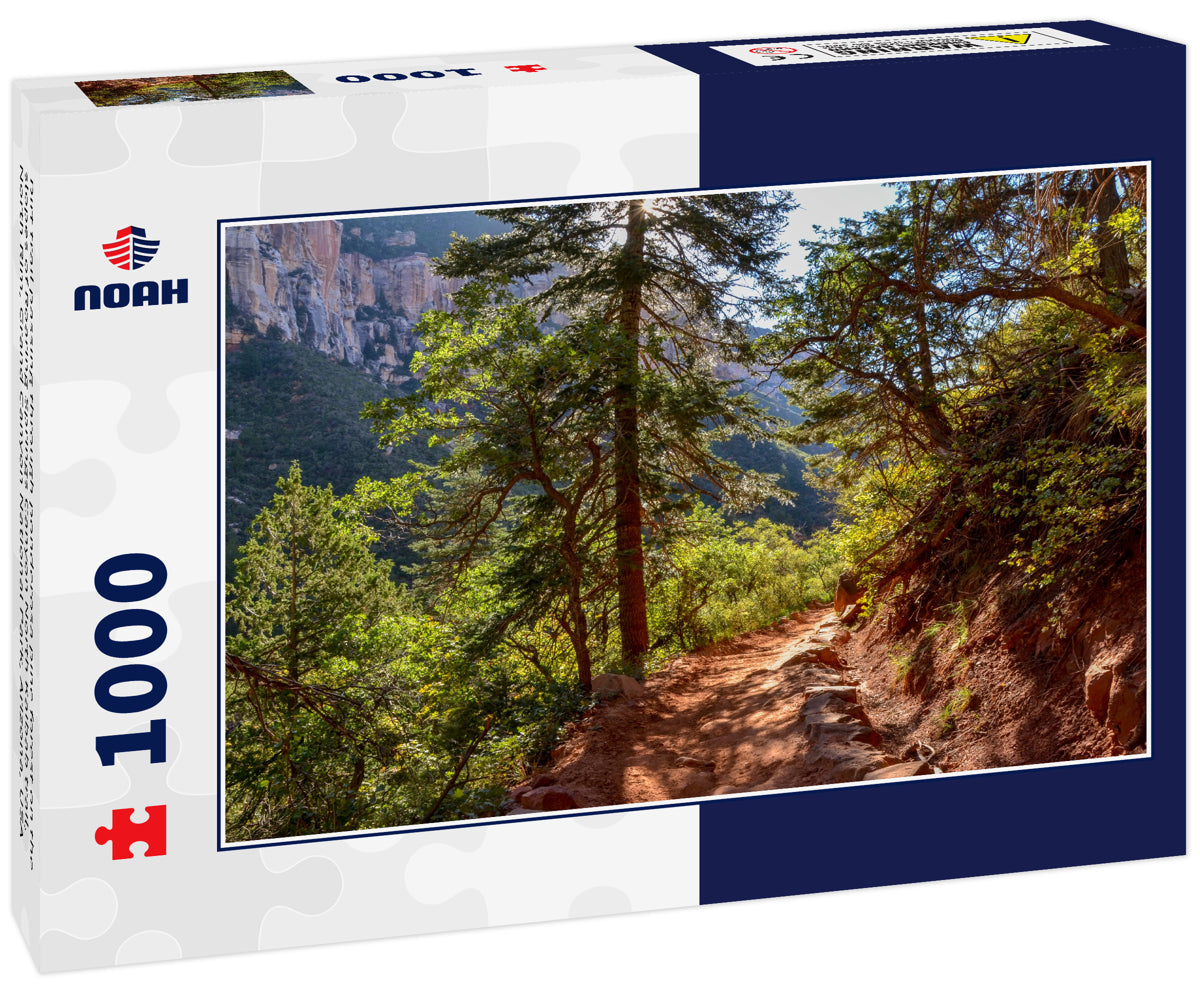 Dirt trail passing through ponderosa pine forest on the slopes of Roaring Springs Canyon North Kaibab trail, North Rim, Grand Canyon National Park, Arizona, USA