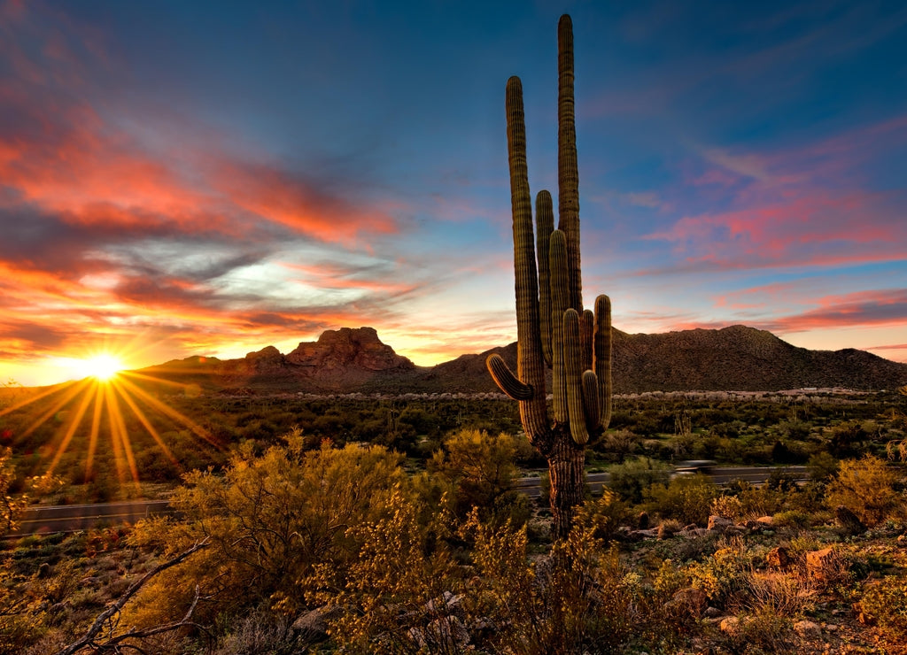 Sunset over the Tonto National Forest