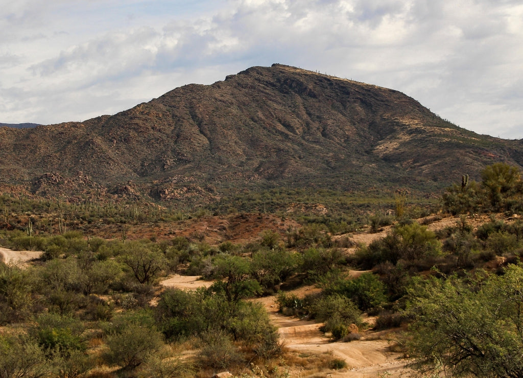Wash and Mountain view in the Tonto National Forest