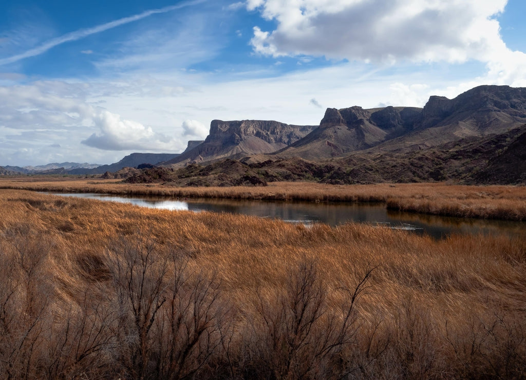 Bill Williams River National Wildlife Refuge