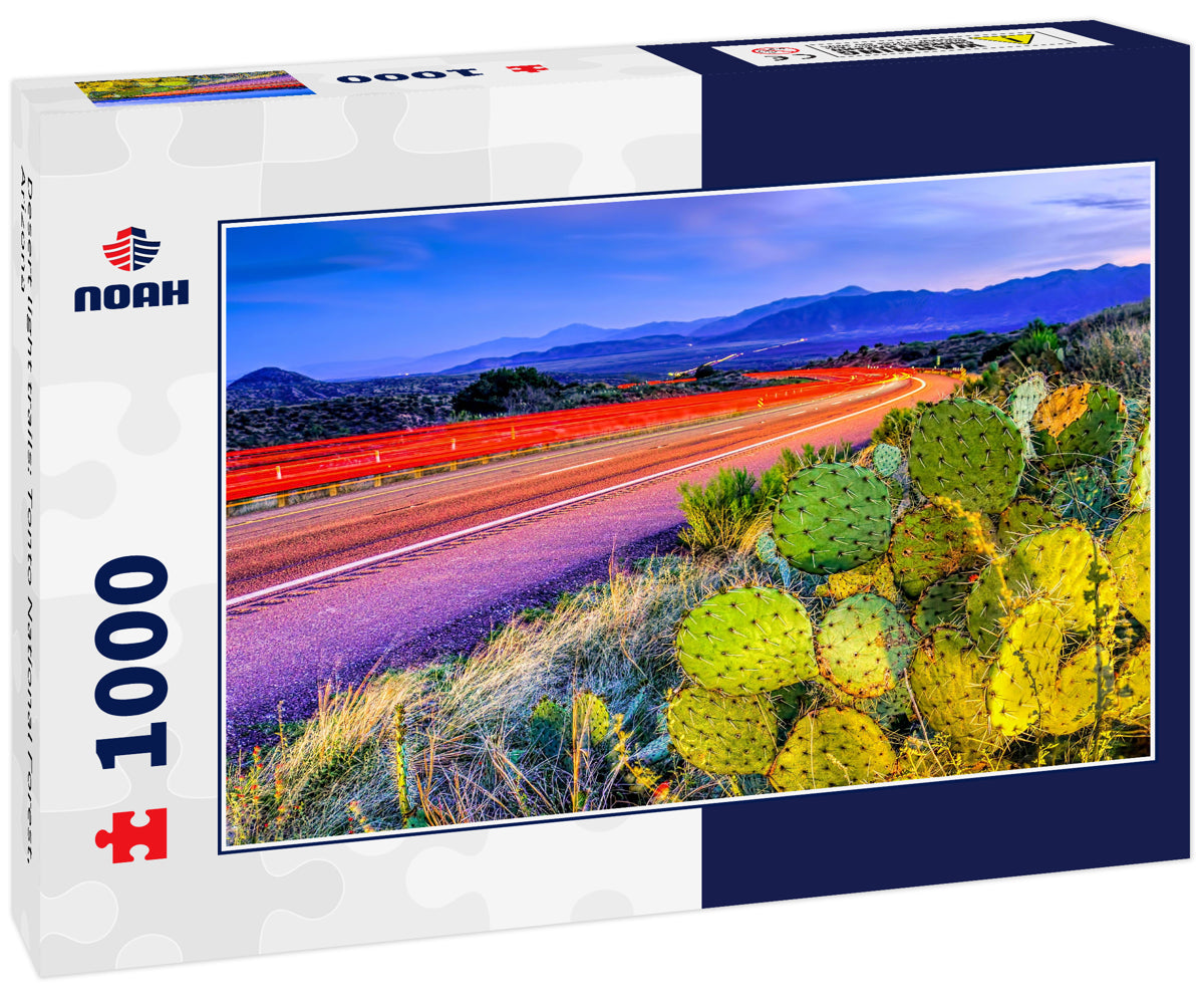 Desert light trails: Tonto National Forest, Arizona