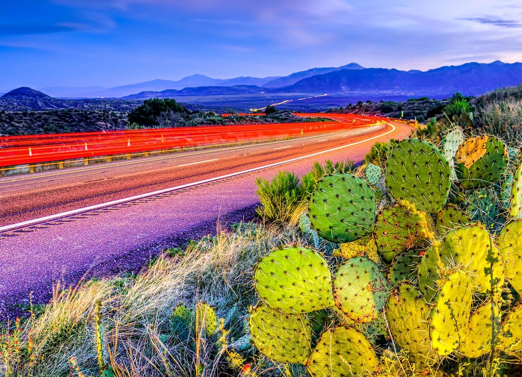 Desert light trails: Tonto National Forest, Arizona