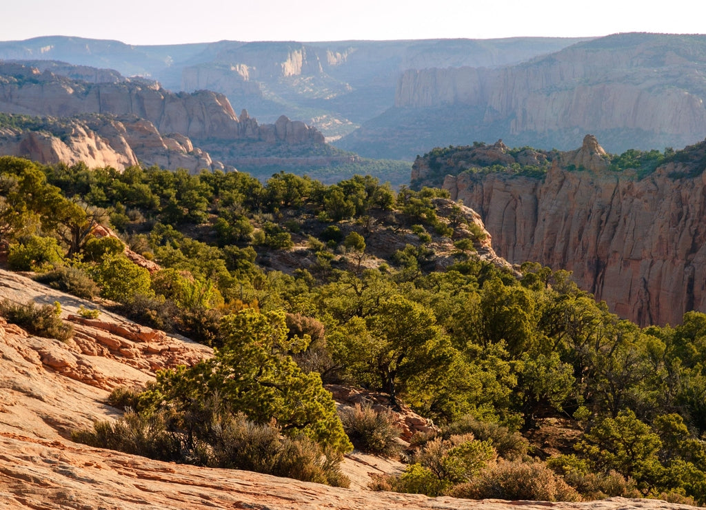The Rugged Landscape of Navajo National Monument