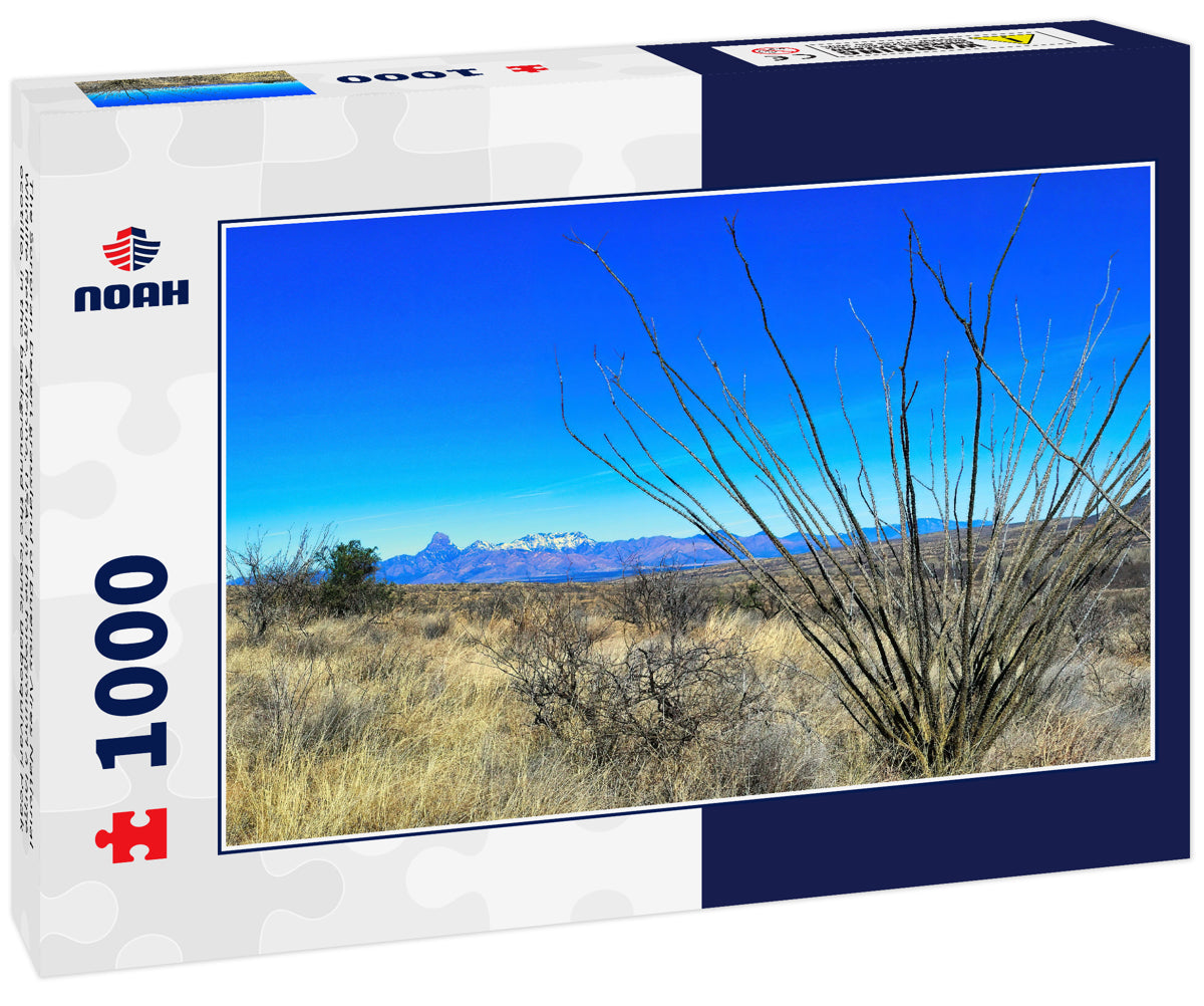The Sonoran Desert grassland of Buenos Aires National Wildlife Refuge, Arizona, USA. In the foreground a large ocotillo, in the background the iconic Baboquivari Peak