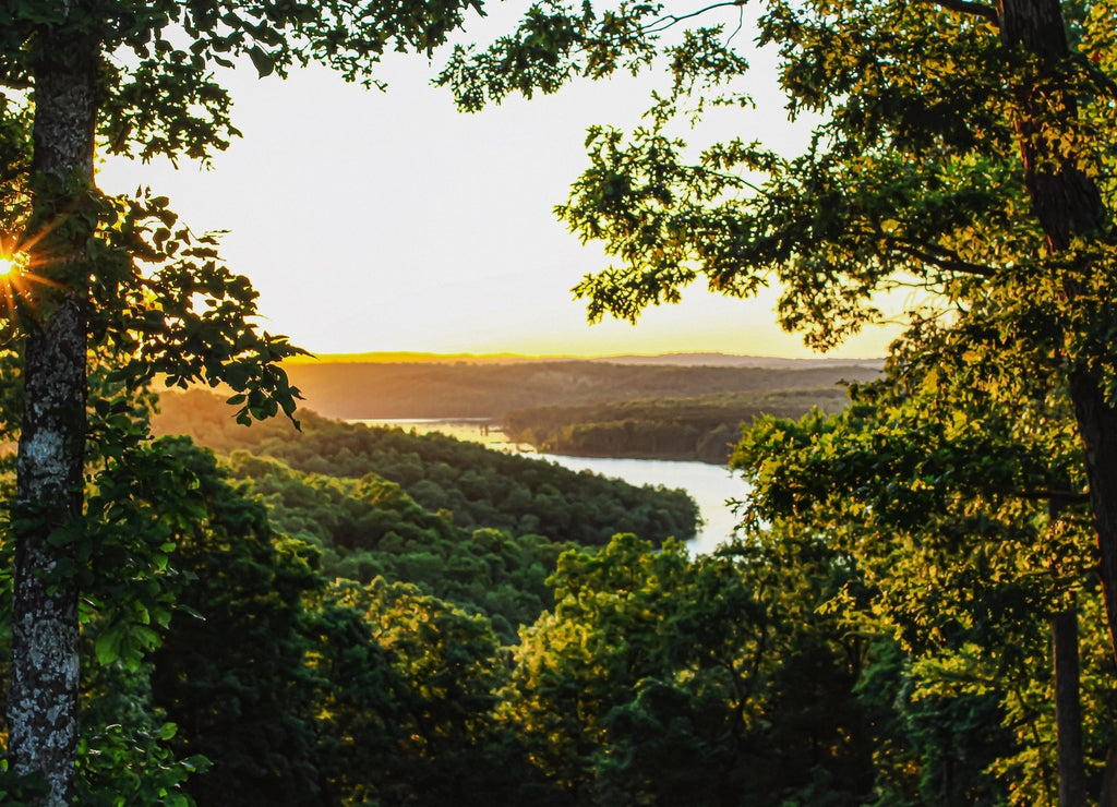 Peaking thru the trees as the sun is starting to rise over the mountains and a cove on Norfork Lake in Mountain Home, Arkansas