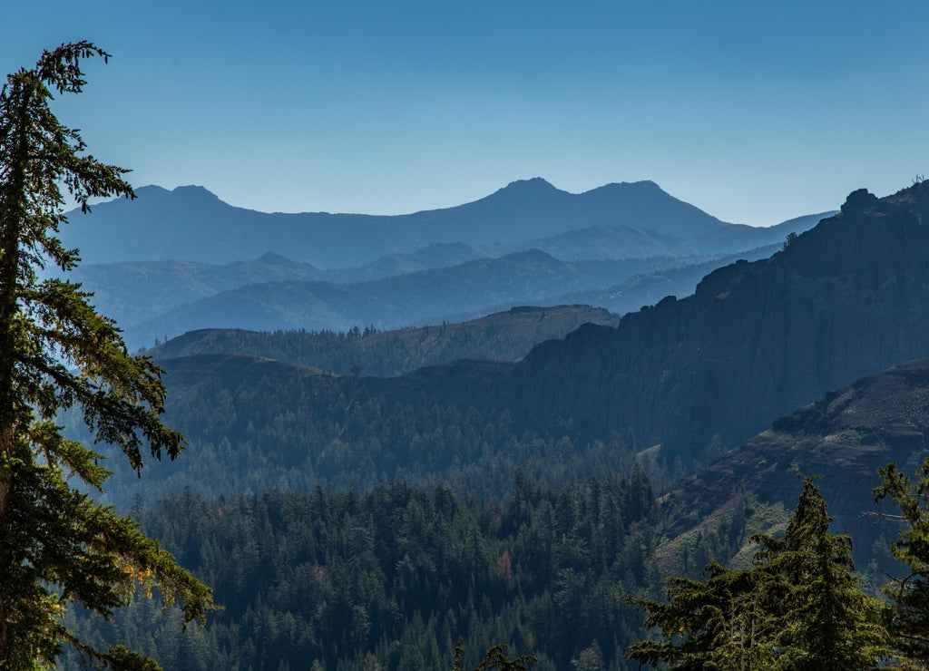 Layers of Blue Mountains in the Early Morning, Calaveras County, California